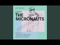 Polymorphous Pervert (The Populists Remix)