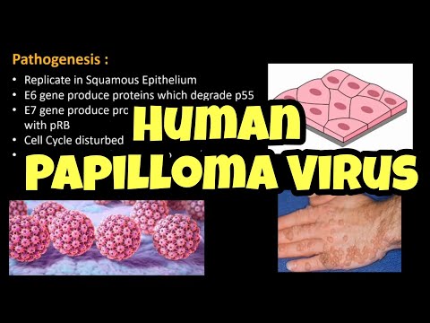 Papilloma vírus ajánlások
