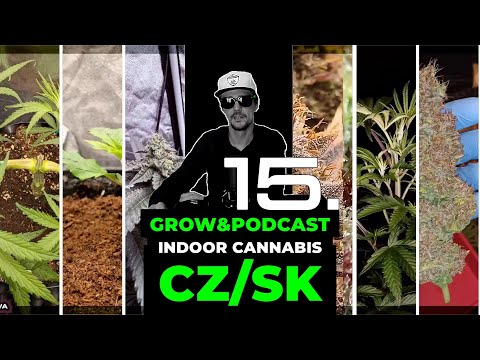 č.15 Grow&Podcast CzSk Indoor Cannabis sestřih záznam - CZ/SK Cannabis Indoor Pěstování Podcast Live