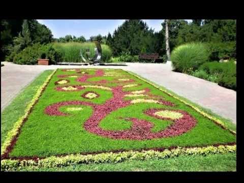 THE  CARPETS  OF  FLOWERS