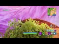 Fortnite Gameplay 1