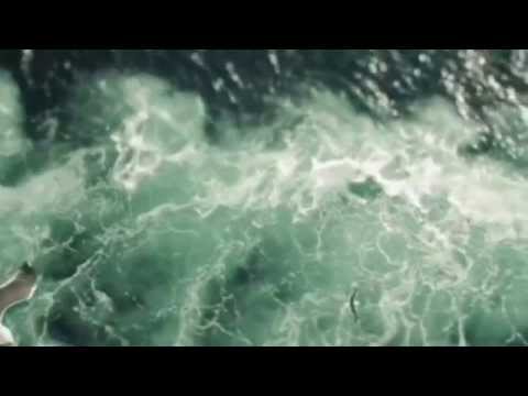 O CAMINHO DO MAGO   SÉRGIO MELLO