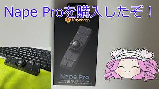 【四国めたん】Nape Proを購入したので使ってみた！そこにはとんでもない罠が・・・
