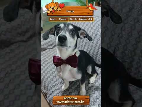 Vídeo de Fredy