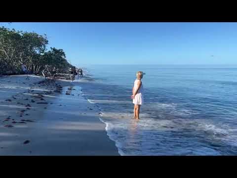 Part 3 of Robb's Sunday Morning Beach Walk in North Naples, FL 06.05.22