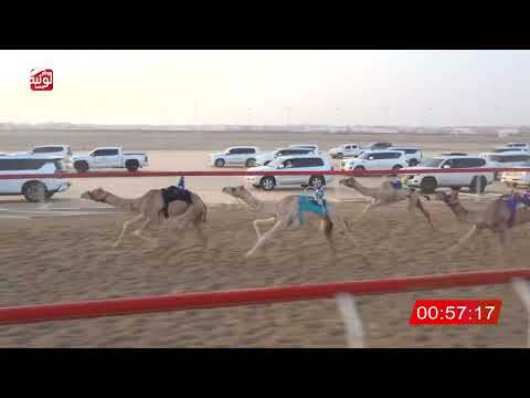 ش 10 (نهاب) لـ مبارك سيف الشدي المنصوري 2:59:49 ، شارة الصندوق 2026/08/21 فطامين الوثبة