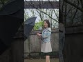Видеообзор Женский зонт Fulton L754 Bloomsbury-2 Night Sky Flowers (Цветы ночного неба)