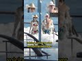 Lauren Sanchez And Jeff Bezos Kick Off Venice Wedding Celebrations With Foam Party Usa Journalist