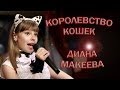 Веселая детская песенка - "Королевство Кошек" 