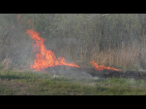 Brandweer Krommenie Blust Rietbrand Aan de Saenredamstraat in Assendelft