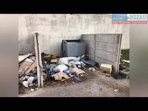 Balta Albă, județul Buzău. Distrugerea unei investiții de 1.000.000 de euro