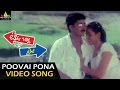 Tata Birla Madyalo Laila Video Songs Poovai Pona Video Song Sivaji Laya Sri Balaji Video