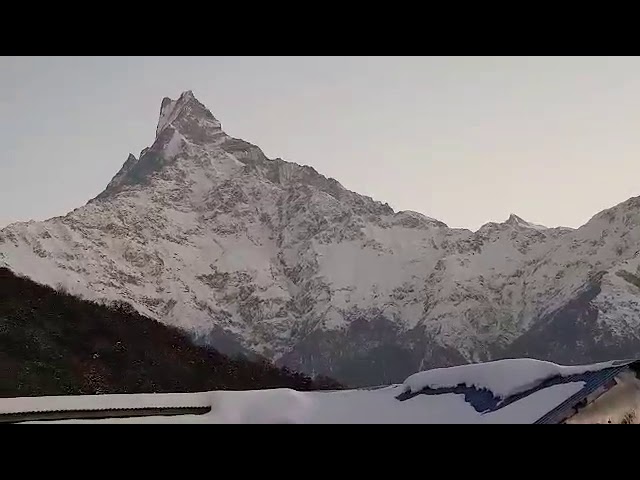Budget Mardi Himal Trek- 3 Days Video