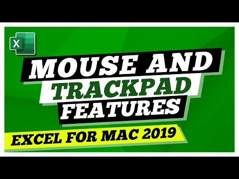 Excel For Mac 2019 Tutorial Cut Copy and Paste with this Microsoft Excel Tutorial
