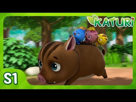 Running Wild Pig │KATURI│S1 EP11