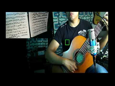 the poor branch - Andrei Sychra