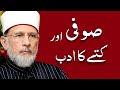 Sufi aur Kutty ka Adab | صوفی اور کتے کا ادب | Shaykh-ul-Islam Dr Muhammad Tahir-ul-Qadri