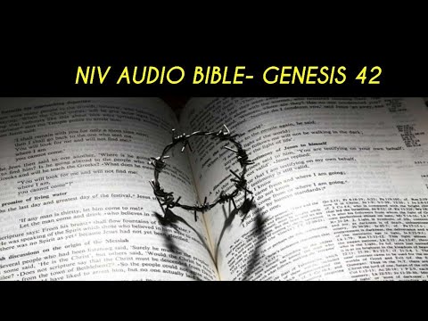 GENESIS 41 NIV AUDIO BIBLE (with text)