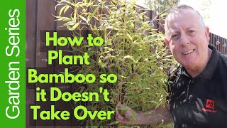 How to Plant Bamboo so it Doesn
