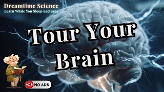 Unveiling the Mind's Labyrinth