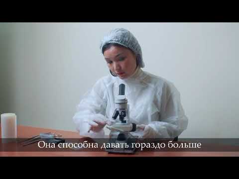 Участник 8312, C3w9aan6BZk