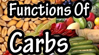 Functions & Importance Of Carbohydrates 
