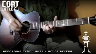 Video thumbnail for Cort Little CJ Blackwood by bru gallagher
