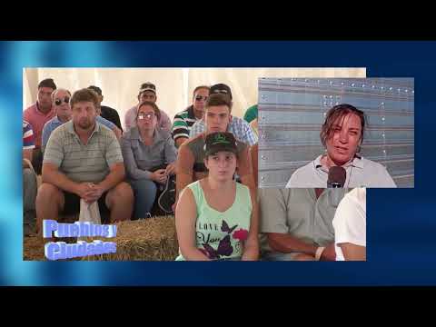 Bloque 3 - 21 de diciembre CARINATA EN LLAMBI CAMPBELL