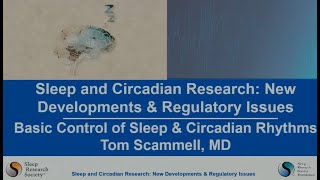 Basic Control of Sleep Wake and Rhythms video