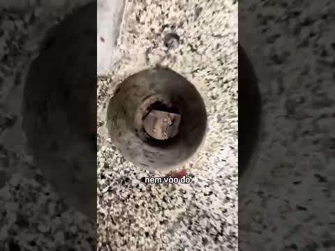 Một cái lỗ kỳ lạ trong căng tin của trường 😳