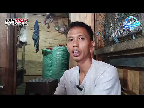 Ditipu, Pedagang Cabai di Lubuk Linggau Rugi Rp35 Juta