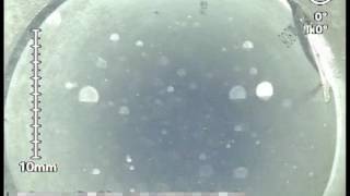 52_ロビオンφ500水中映像