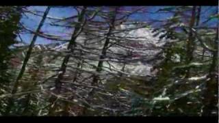 Deep Winter Suite - KATE BUSH - Snowflake Lake Tahoe Misty
