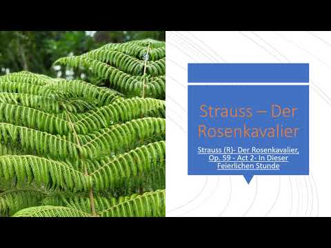 Strauss | Der Rosenkavalier - Act 2