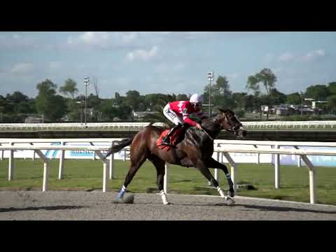 221218 c04 PRETTY DAY