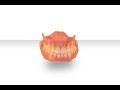 Ivoclar Vivadent BPS Complete Dentures