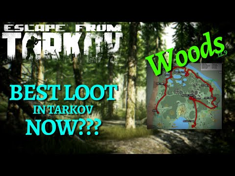 New Woods 12.9 Expansion Loot Run | Tons of new loot!