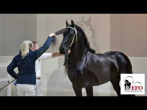 Achter de schermen bij de Eerste Bezichtiging HK2021