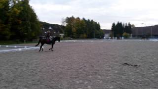 Video di Webster