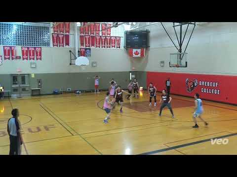Tiger Hoodz vs Asanity - sunday tier - tcbl 2022 fall