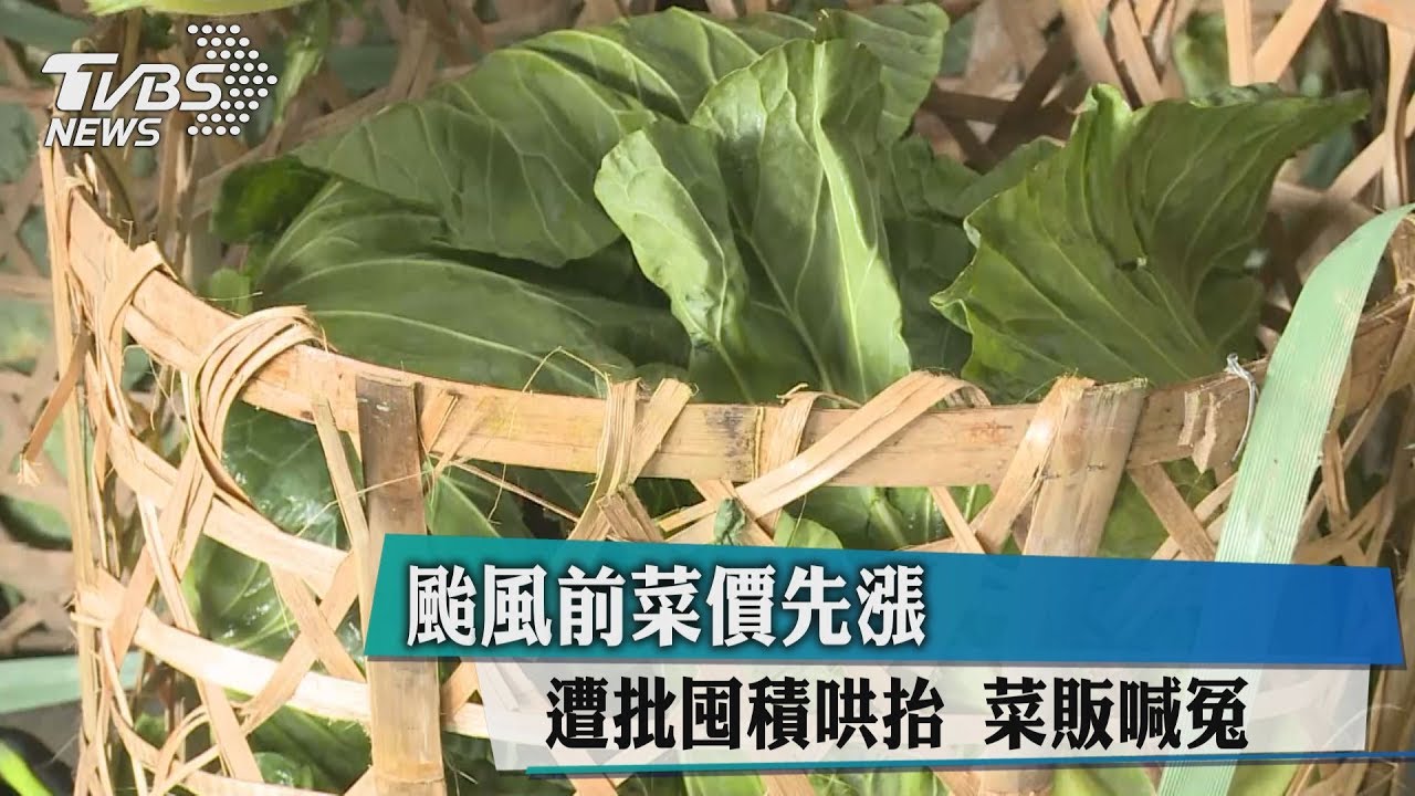 颱風前菜價先漲遭批囤積哄抬 菜販喊冤