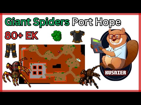 Giant Spiders Port Hope | 80+ Knight | 500 k/h raw | Tibia