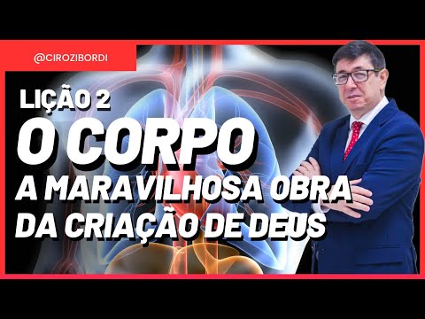 The Body—God's Marvelous Work of Creation | Lesson 2 | Body, Soul, and Spirit | Bible Lessons