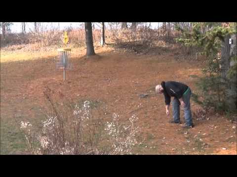 Lucky Disc Golf Shot!