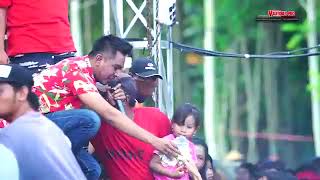 Download lagu Gerry Mahesa  Mutiara Hidupku  New Pallapa IRoke Ikatan Remaja Ronggo Korea mp3
