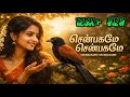 செண்பகமே செண்பகமே Shenpagame Shenbagame Latest Tamil Ai Song Ai Tami