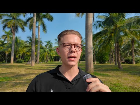 Wie du in 30 Tagen ALLES manifestierst (Komplette Anleitung)