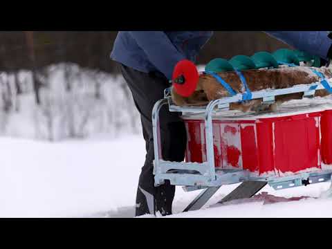 2022 Nordic Pro -moottorikelkka - Snowcheck