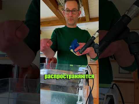 Вот почему звуки океана могут быть пугающими! 😳🌊