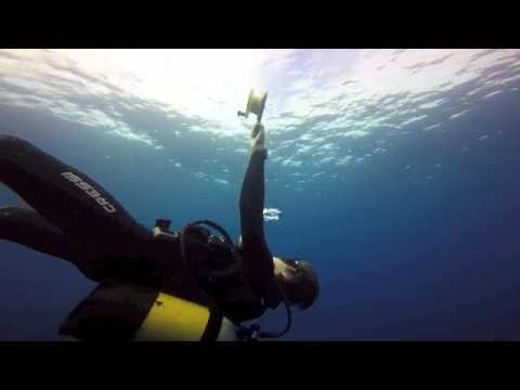 LOIRIPLUKARI - Ei Voi Laittaa Verotukseen